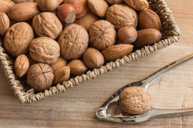 Farklı türde fındık