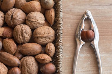 Farklı türde fındık