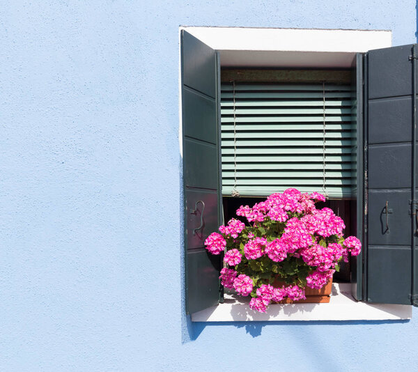 bright house with flowers in the window