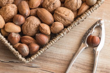 Farklı türde fındık