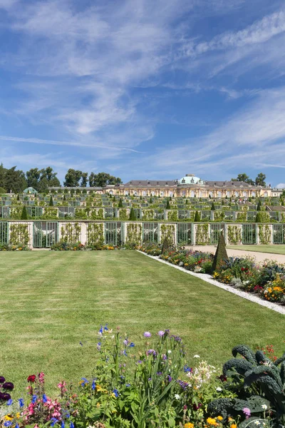 Sanssouci Palace Πότσδαμ Στη Γερμανία Δημόσιος Κήπος — Φωτογραφία Αρχείου