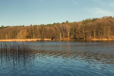 Çin dekoratif fenerler görünümünü