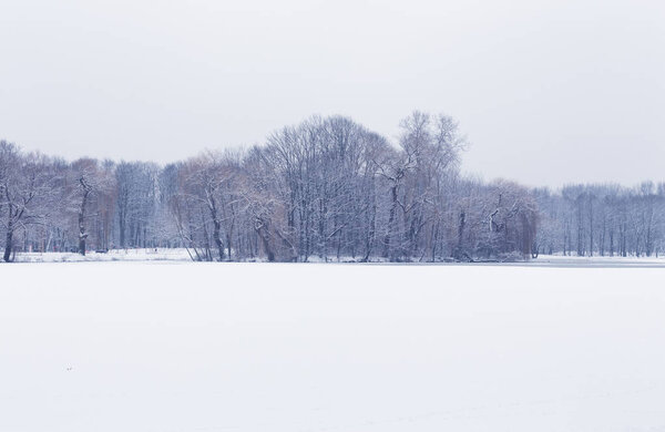 зимний пейзаж, деревья на фоне замерзшего озера
