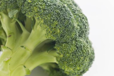 Brokoli beyaz zemin üzerine