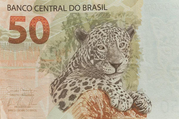 Бразильские Деньги Реалов — стоковое фото