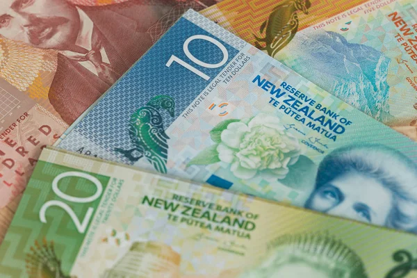 Pohled na Nový Zéland dolary mají různé nominaly — Stock fotografie