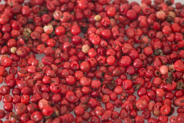 Pimienta brasileña / especias de cocina — Foto de Stock