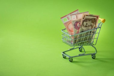 Paraguay parasıyla minyatür alışveriş arabası. Alışveriş kavramı ve ekonominin gücü. metin için yer