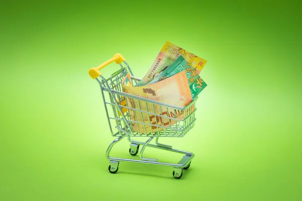 코스타 리카의 돈으로 트롤리 쇼핑의 경제의 — 스톡 사진