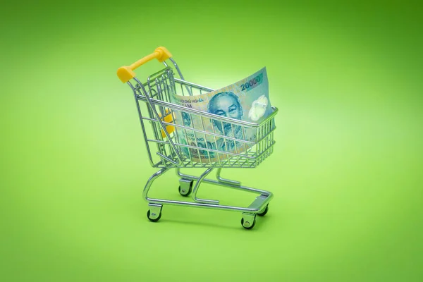 Miniature Shopping Trolley Vietnam Money Concept Shopping Power Economy — 图库照片