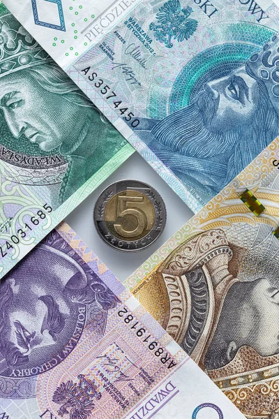 Деньги Польши Различные Банкноты Монеты — стоковое фото