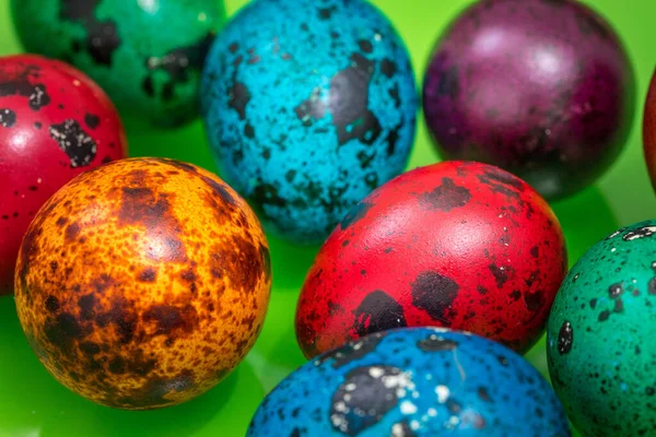 Painted Eggs Different Colors Green Background Easter Decoration — 스톡 사진