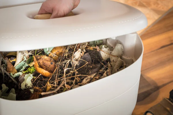 Pertanian Cacing Komposter Eco Ramah Rumah Pembuangan Limbah Biodegradable Dan — Stok Foto