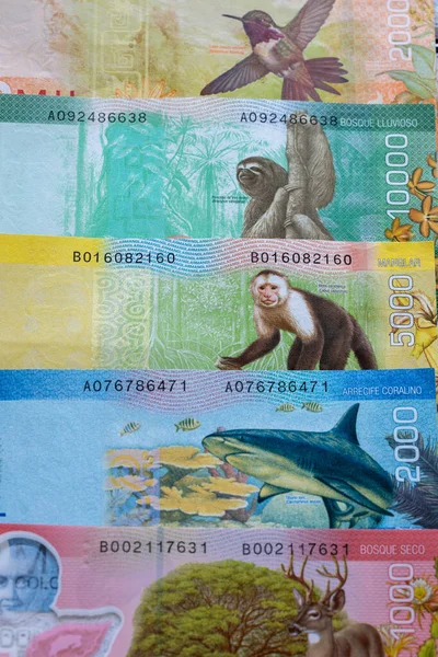 Argent Costa Rica Colones Divers Billets Étalés Sur Table — Photo