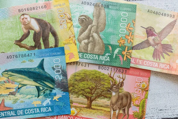 Dinero Costa Rica Colones Varios Billetes Repartidos Mesa — Foto de Stock
