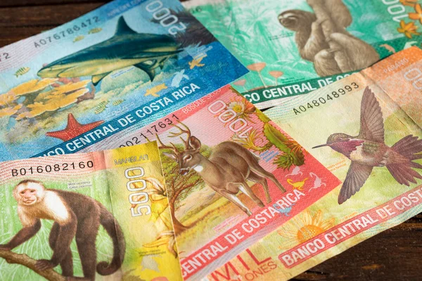 Monnaie Costa Rica Billets Banque Divers Toutes Coupures Papier — Photo