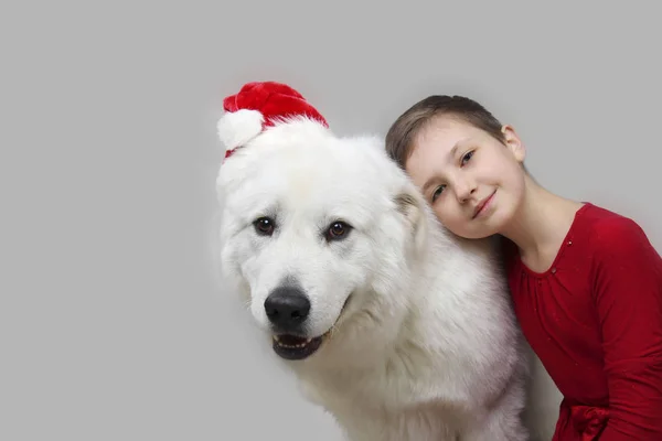 Młoda dziewczyna Ogarnięcie jej adorable pies biały Boże Narodzenie w kapeluszu. — Zdjęcie stockowe