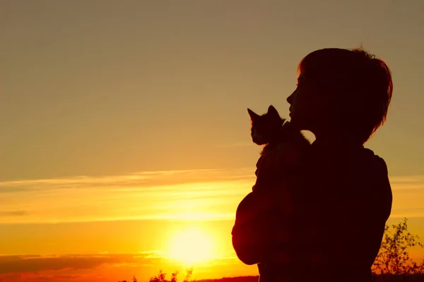 Plan recadré d'une jolie petite fille et chaton au coucher du soleil . — Photo