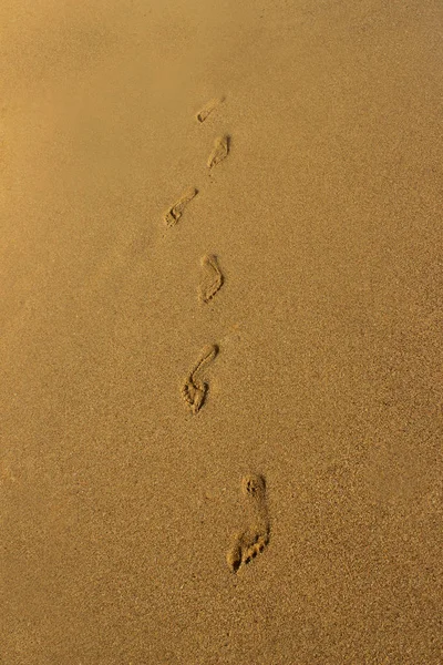 Detail of a human footprints on sand walking on the beach. Stock Image