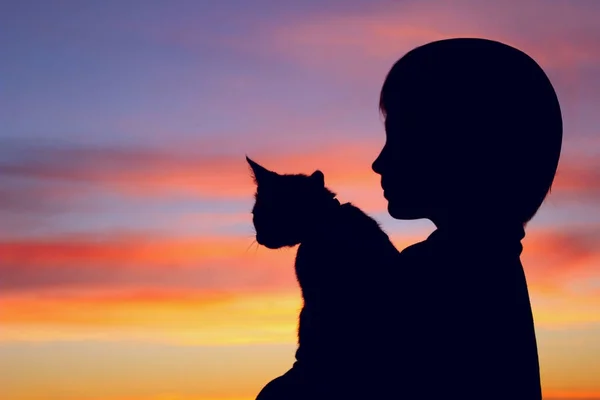 Cortado tiro de una linda niña y gatito . —  Fotos de Stock