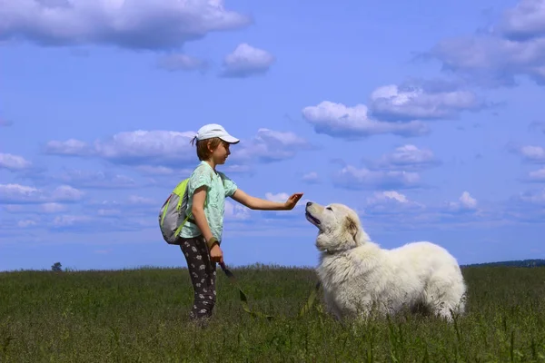 Kız ve büyük beyaz köpek. — Stok fotoğraf