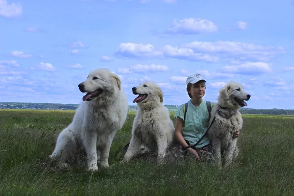 หญิงสาวและสุนัขสีขาวใหญ่ — ภาพถ่ายสต็อก