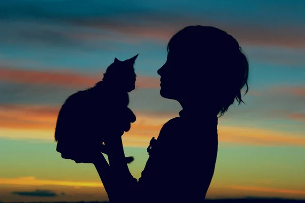 Cortado disparo de una linda niña y gatito al atardecer . —  Fotos de Stock