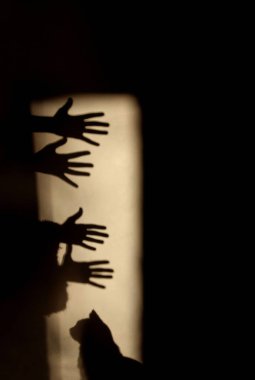 Çocuklar, insanlar, Evcil hayvan kavramı. Gölge bir kedi ve çocuk elleri. Ellerini duvara tarafından gölgeler.