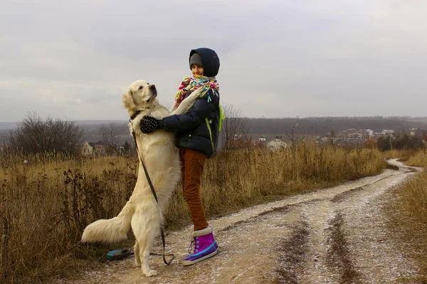 Собака Играет Владельцем Молодая Девушка Играет Своим Золотистым Ретривером Собака — стоковое фото