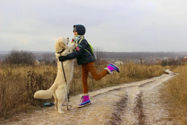 Dog Playing With Owner. Young Girl Playing With Her Pet Golden Retriever. Dog And Owner, Outdoor. Golden Retriever Playing  Outdoor.