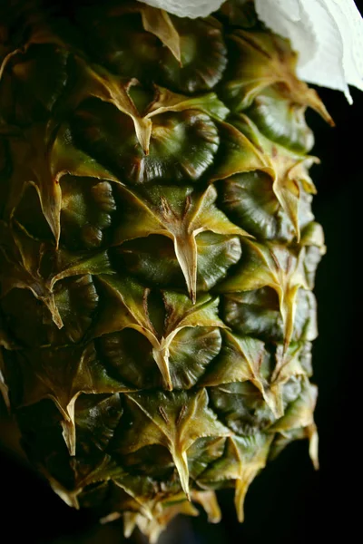 Primer Plano Shot Pineapple Fondo Alimentos Resumen Fondo Piña Recortado — Foto de Stock