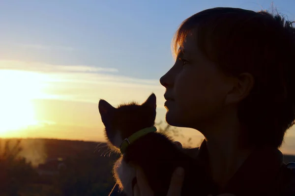 人和童年的概念 裁剪的女孩在日落时抱着她的小猫剪影拍摄 裁剪后的拍摄的可爱的小女孩 在日落时的小猫 — 图库照片