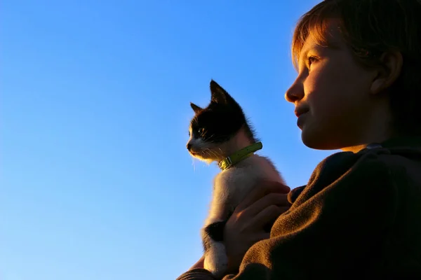 Niños Mascotas Personas Concepto Infancia Foto Recortada Una Silueta Una —  Fotos de Stock