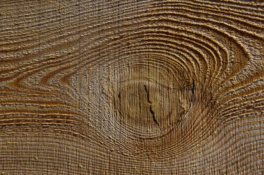 Ahşap doku Background.Cropped atış a Background.Wooden doku dokulu. Ahşap arka plan. Ağaç doku. Ağaç arka plan. Ağaç doku çatlamak. Doğa doku arka plan.