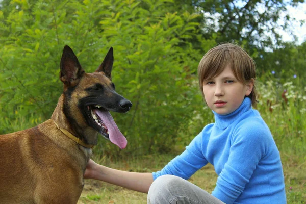 Cão Brincando Com Proprietário Jovem Brincando Com Seu Pastor Belga — Fotografia de Stock