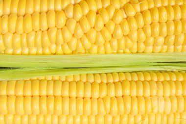 Kırpılmış sarı mısır. Soyut gıda geçmişi. Metin için bir sürü kopyalama alanı olan mısır dokusu arkaplanı.