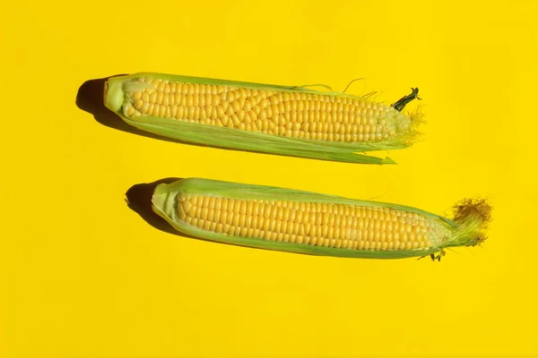 Αφηρημένο Φόντο Τροφίμων Δύο Κίτρινο Καλαμπόκι Κίτρινο Φόντο — Φωτογραφία Αρχείου