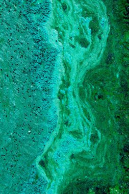 Kirli su kırpılmış atış, üst görünümü. Ekoloji, çevre kirliliği, doğa kavramı. Soyut renkli arka plan dokusu.