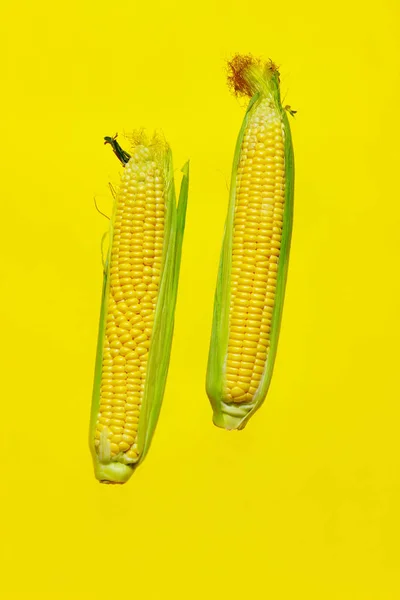 Pionowy Obraz Dwóch Uszu Kukurydzy Żółtym Tle Streszczenie Tła Żywności — Zdjęcie stockowe