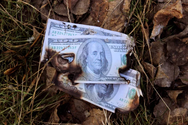 Сгоревшие Банкноты Траве Сожженный Фрагмент Банкноты Долларах Сша Земле Концепция — стоковое фото