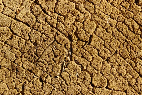 Cracked Dry Ground Nature Drought Climate Concept Abstract Nature Background — Stock Photo, Image