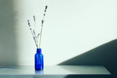 Masanın üzerinde mavi cam şişede lavanta çiçekleri. Çiçeklerle soyut arkaplan.