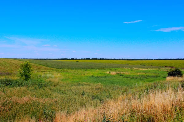 Prachtige Natuur Achtergrond Groene Weide Blauwe Lucht Achtergrond Prachtig Landschap — Stockfoto