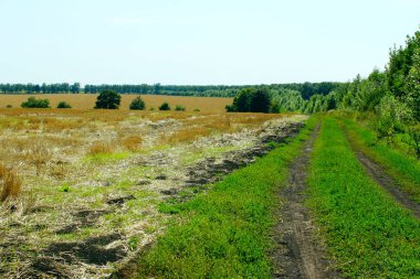 Güzel doğa arka planının bulanık görüntüsü. Yeşil çayır ve mavi gökyüzü arka planı. Muhteşem manzara..