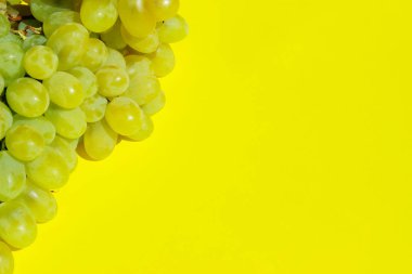 Sarı arka planda bir demet yeşil üzüm. Metin için bir sürü kopyalama alanı olan soyut yiyecek arkaplanı.