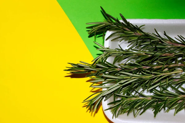 Grüne Rosmarinzweige Auf Gelbem Hintergrund Essen Gewürze Hintergrund Für Das — Stockfoto