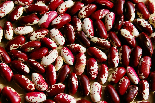 Feijão Vermelho Perto Tiro Cortado Comida Dieta Fundo Alimentar Abcesso — Fotografia de Stock