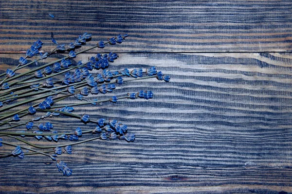 Flores Lavanda Azul Sobre Fondo Madera Azul Copia Espacio Para —  Fotos de Stock