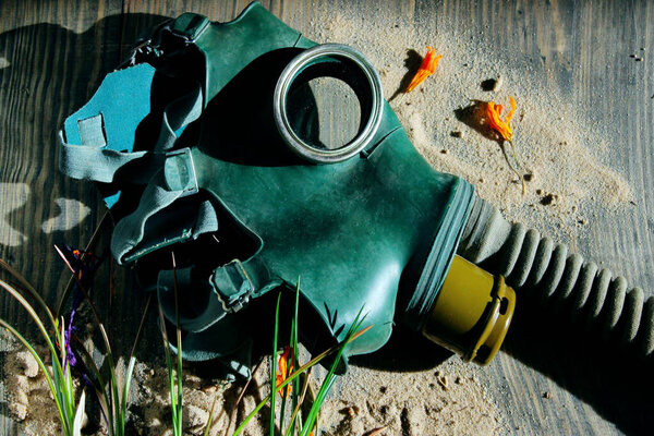 Gas mask. dry flowers, sand, wooden background. Panic, war, people, epidemic concept.