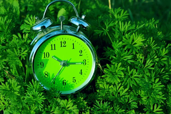 Green Clock Green Grass Background Vintage Alarm Clock Outdoors Abstract — Stock Photo, Image